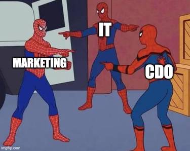 Marketing, IT, and CDO